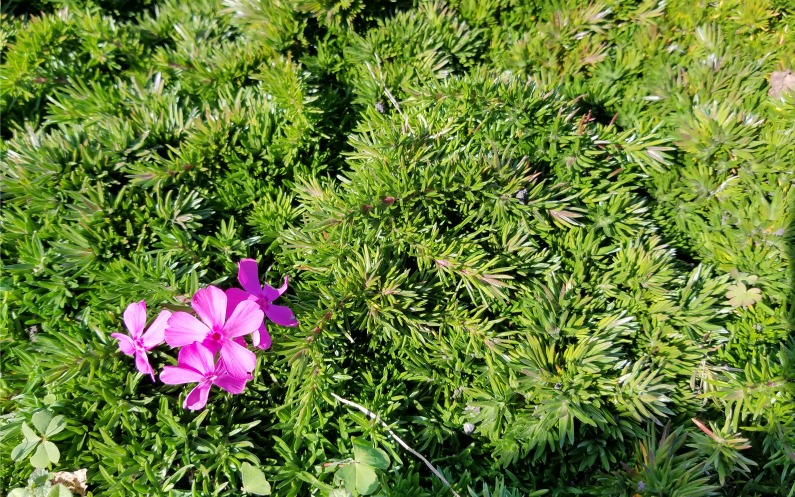 静けさは末日を生き抜く助けとなる